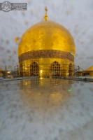 بارش باران جلوه ویژه ای به حرم امیرالمؤمنین(ع) بخشید+تصاویر 6