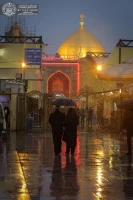 بارش باران جلوه ویژه ای به حرم امیرالمؤمنین(ع) بخشید+تصاویر 11