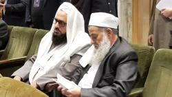 تولیت آستان قدس رضوی:


امام رضا(ع) رمز وحدت ادیان ابراهیمی است
 2