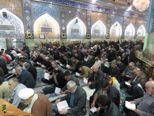 زمزمه دعای کمیل زائران ایرانی در خیمه گاه حسینی  9