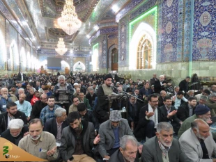 زمزمه دعای کمیل زائران ایرانی در خیمه گاه حسینی  13