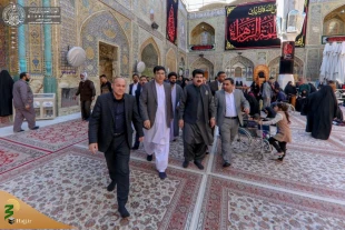 هیئتی از مجلس سنای پاکستان به زیارت حرم امیرالمؤمنین(ع) مشرف شد+ تصاویر  2