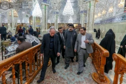 هیئتی از مجلس سنای پاکستان به زیارت حرم امیرالمؤمنین(ع) مشرف شد+ تصاویر  4