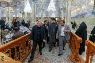 هیئتی از مجلس سنای پاکستان به زیارت حرم امیرالمؤمنین(ع) مشرف شد+ تصاویر  4
