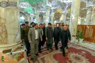 هیئتی از مجلس سنای پاکستان به زیارت حرم امیرالمؤمنین(ع) مشرف شد+ تصاویر  5