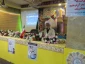 مسئول دفتر نمایندگی بعثه رهبری در کربلا:

پیروی از ولایت فقیه رمز پیروزی است
 2