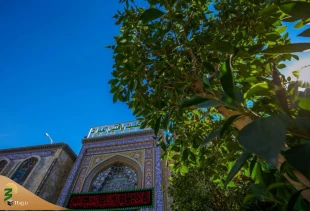 صحن و سرای حرم مطهر حضرت سیدالشهدا در ایام فاطمیه 4