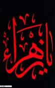 صحن و سرای حرم مطهر حضرت سیدالشهدا در ایام فاطمیه 7