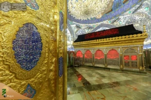 حرم مطهر امیرالمؤمنین (علیه السلام) شست‌وشو شد + تصاویر  10
