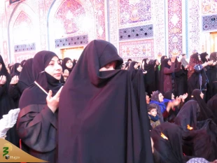 سخنران بعثه مقام معظم رهبری در کربلای معلی:
زیارت امام حسین شاه کلید رفع گرفتاری هاست
 7