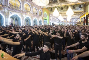حرم حضرت ابا الفضل العباس (ع) در عزای مادرش گریست +تصاویر  2