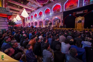 حرم حضرت ابا الفضل العباس (ع) در عزای مادرش گریست +تصاویر  11