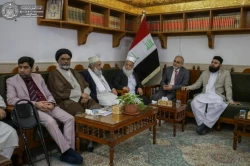 هیئتی اروپایی به زیارت حرم امیرالمؤمنین (ع) مشرف شد 3