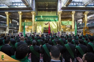 در میلاد حضرت زهرا(ع)؛ 

حرم حضرت ابا الفضل العباس(ع) غرق در سرور و شادی شد+ تصاویر  12