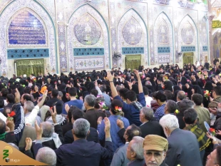 حجت الاسلام و المسلمین هژبری:
فاطمه زهرا(س) ملکه بهشت و حقیقت شب قدر است
 2