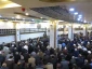 سخنران بعثه مقام معظم رهبری در کربلای معلی:
زیارت امام حسین چاره عاقبت به خیری بشریت است 4
