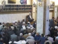 خطیب بعثه مقام معظم رهبری در کربلای معلی:

یاد روز قیامت بازدارنده ما از گناه است
 8