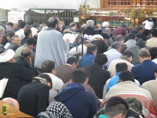 مراسم دعای کمیل زائران ایرانی در خیمه گاه حسینی +گزارش تصویری 9