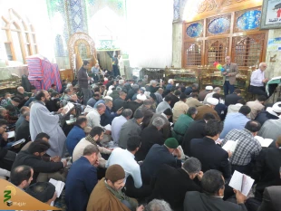مراسم دعای کمیل زائران ایرانی در خیمه گاه حسینی +گزارش تصویری 11