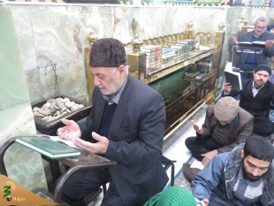 دعای ندبه زائران ایرانی در کربلا + گزارش تصویری 17