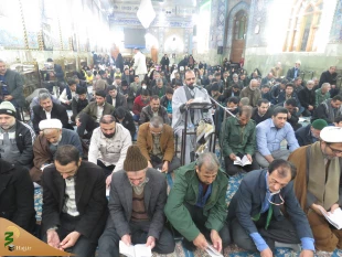 دعای ندبه زائران ایرانی در کربلا + گزارش تصویری 21