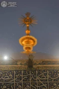 جلوه زیبای بارش باران در حرم امیر المومنین +تصاویر  4