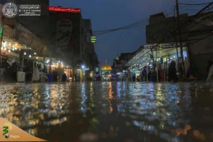 جلوه زیبای بارش باران در حرم امیر المومنین +تصاویر  6