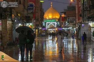 جلوه زیبای بارش باران در حرم امیر المومنین +تصاویر  7