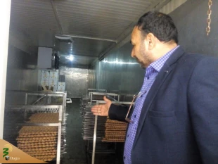 بازدید