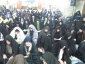 طنین نغمه های دعای ندبه در خیمـه‌گاه کربلا 8