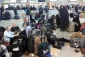 سخنگوی ستاد اجرایی خدمات سفر خراسان رضوی خبر داد؛


ورود بیش از پنج میلیون و ۶۰۰ هزار نفر زائر و مسافر به مشهد طی هشت روز گذشته
 6