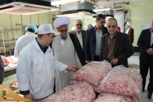 مسئول بعثه مقام معظم رهبری در عراق از آشپزخانه مرکزی کربلا بازدید کرد+ عکس 16