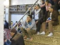 حجت الاسلام و المسلمین حسینی:

آمادگی برای ظهور و تقویت ایمان امری مهم است 9
