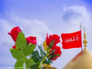 گل‌آرایی اعتاب مقدسه کربلای معلی