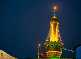 گل‌آرایی اعتاب مقدسه کربلا 7