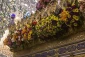 هم‌زمان با ولادت علمدار کربلا صورت گرفت

استقبال خادمان افتخاری حضرت عباس (ع) با گل‌های طبیعی از زائران کربلا 4