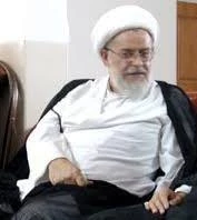 دیدار مسئول بعثه در نجف اشرف با آیت الله شیخ هادی آل راضی