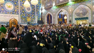 جشن باشکوه میلاد حضرت علی اکبر(ع) در کربلای معلی 7
