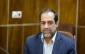 گسترش فرهنگ زیارت، عامل عمیق تر شدن پیوندهای دو ملت ایران و عراق  5