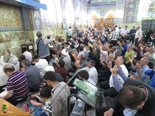 گزارش تصویری مراسم دعای کمیل در کربلای معلی 

 2