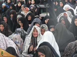 گزارش تصویری مراسم دعای کمیل در کربلای معلی 

 4