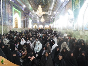 گزارش تصویری مراسم دعای کمیل در کربلای معلی 

 13