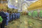 تصاویر غبارروبی ضریح حرم امام علی(ع) 13