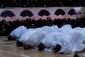 همایش متمرکز حجاج استان قم+گزارش تصویری 2