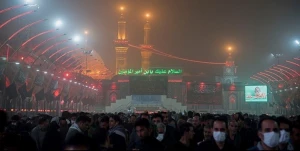 زائران ایرانی در کربلا و نجف در سلامت هستند