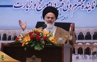 آیت‌الله حسینی بوشهری:

حج محور تحول جهان اسلام است