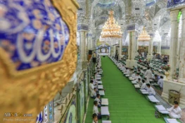 تصاویر ازآئین ترتیل خوانی قرآن توسط نوجوانان در حرم امام علی(ع) 2