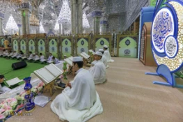 تصاویر ازآئین ترتیل خوانی قرآن توسط نوجوانان در حرم امام علی(ع) 4