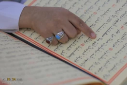 تصاویر ازآئین ترتیل خوانی قرآن توسط نوجوانان در حرم امام علی(ع) 7