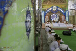 تصاویر ازآئین ترتیل خوانی قرآن توسط نوجوانان در حرم امام علی(ع) 9